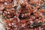 Ruby Red Vanadinite Crystals on Black/White Barite - Morocco #196327-2